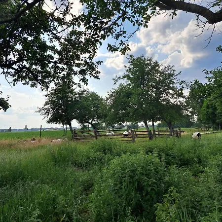 Srodziemie Gondor Bauernhof