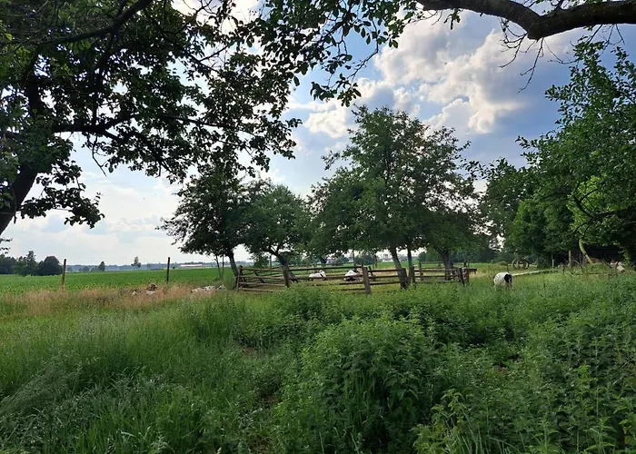 Srodziemie Gondor Farm stay